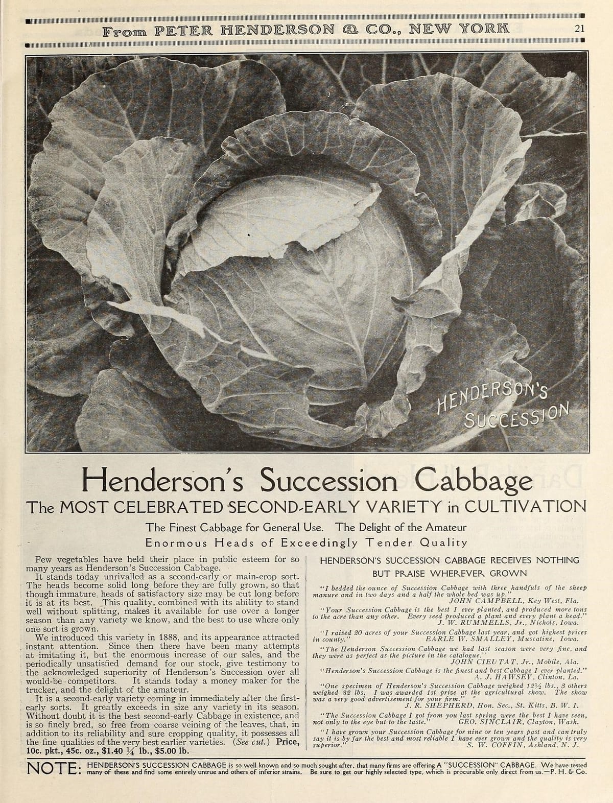 Old garden advertisement for Henderson's Succession Cabbage